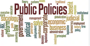 Online MA in Public Policy and Governance