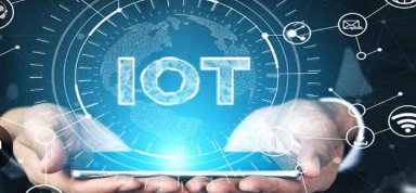 Online Executive Diploma in Information Technology Management
